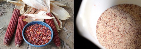 Left: Bloody Butcher corn (photo courtesy of Common Wealth Seed Growers); Right: Bloody Butcher cornmeal from Sub Rosa Bakery