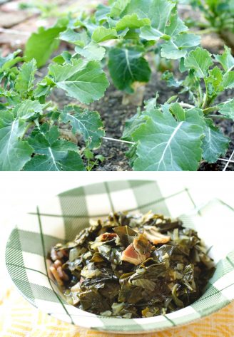 Mustard greens in garden and in bowl copy